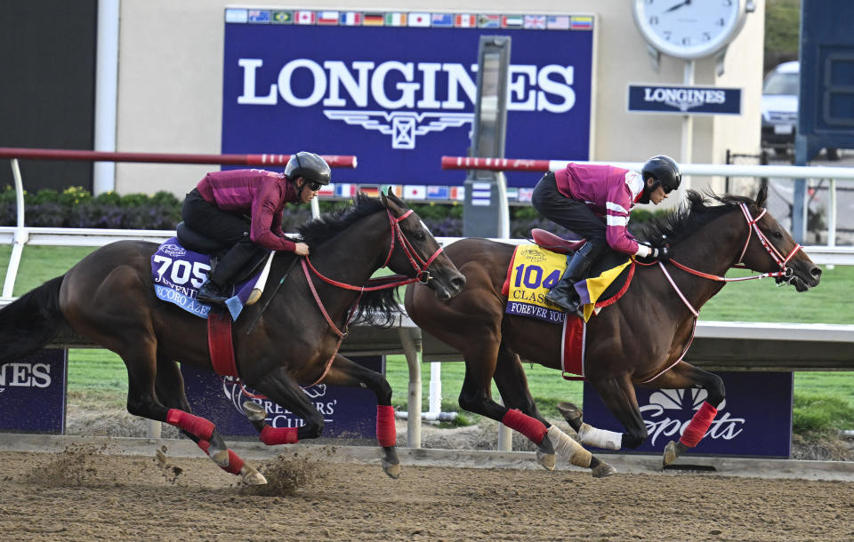 Two horses, Ecoro Azel and Forever Young, exercising at Del Mar racetrack before the 2024 Breeders' Cup.