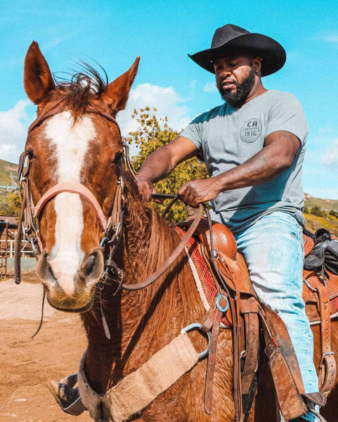 Cowboy at the Rodeo