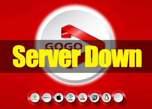Gogo Live App Interface
