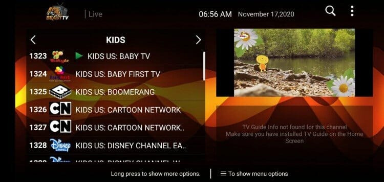 beast iptv channels
