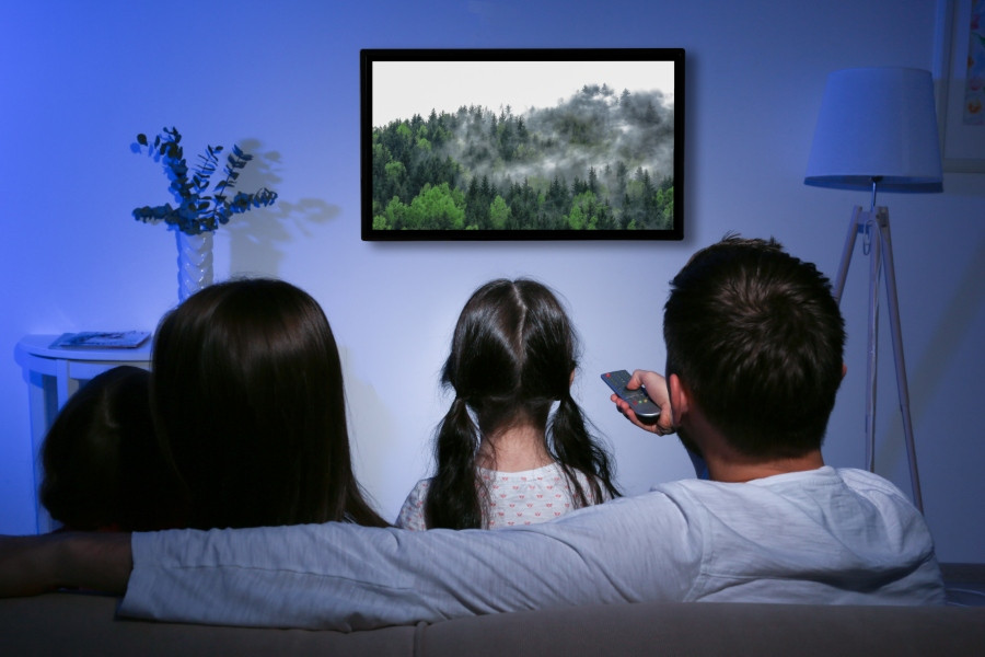 Family watching TV in living room