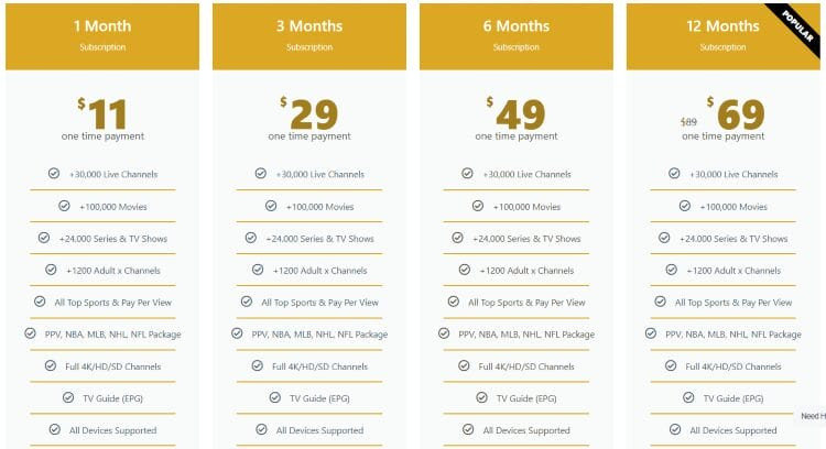 IPTV Cost Example