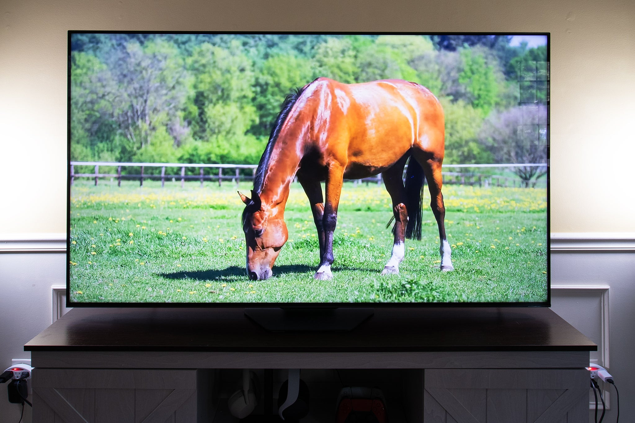 A Hisense U8N Series TV with a horse on the screen, showcasing vibrant display quality.